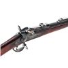 Image 1 : Springfield M.1884 Trapdoor Rifle