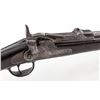 Image 1 : Pre-Custer Springfield M.1873 Trapdoor Carbine
