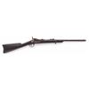 Image 2 : Pre-Custer Springfield M.1873 Trapdoor Carbine