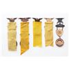 Image 4 : Lot of 5 GAR Encampment Badges