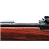 Image 5 : Sporterized Argentine Mauser M.1891 BA Rifle