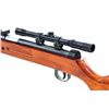Image 4 : Chinese Pump Action Air Rifle