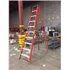 Image 1 : 10 FOOT LADDER
