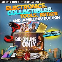 WELCOME TO YOUR TIMED INTERNET AUCTION