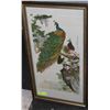 Image 1 : ASIAN PEACOCK FRAMED PICTURE