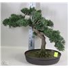 Image 1 : ARTIFICIAL BONSAI TREE