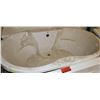Image 1 : OVAL 6' WIDE X 41" DEEP DELUXE TUB
