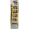 Image 1 : 6' ALUMINUM & FIBREGLASS LADDER