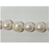 Image 1 : #3-STERLING SILVER FRESHWATER PEARL NECKLACE