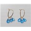 Image 1 : #20-14K YELLOW GOLD BLUE TOPAZ EARRINGS