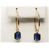 Image 2 : #22-14K YELLOW GOLD BLUE SAPPHIRE EARRINGS