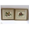 Image 1 : SET OF 2 BIRDS PICTURES