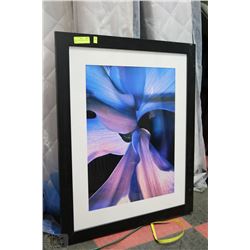BLUE FLOWER FRAMED PICTURE 28"X34"