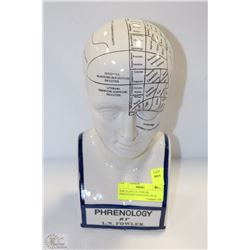 PORCELAIN L.N. FOWLER PHRENOLOGY SCIENTIFIC HEAD