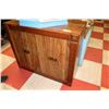 Image 1 : 2 DOOR VINTAGE CABINET