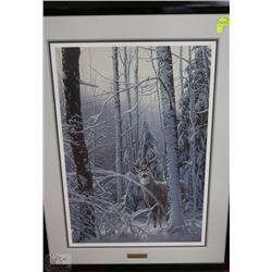 DANIEL SMITH "CURIOUS PRESENCE " WHITE TAIL DEER