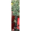 Image 1 : 10' ARTIFICIAL BAMBOO TREE