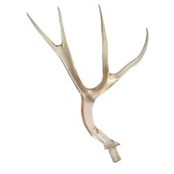 Duck Dynasty Antler Movie Props