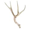 Image 1 : Duck Dynasty Antler Movie Props