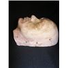 Image 2 : Tim Robbins Special Effects Make-Up  Life Cast