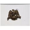 Image 1 : BRASS EAGLE DOORKNOCKER