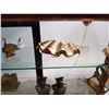 Image 1 : BRASS CLAMSHELL