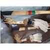 Image 1 : NATIVE DANCING FEATHERS
