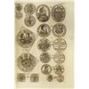 Image 2 : Dewerdeck’s Monumental Silesia Numismatica