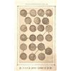 Image 1 : The Levick Plate