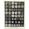 Image 2 : The Stickney Sale