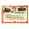 Image 1 : Tennessee Coal, Iron and Railroad Co., ca.1890-1919 Specimen Stock