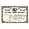 Image 1 : New York Produce Exchange ca.1910-1930 Specimen