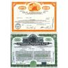 Image 4 : Worldwide Stock Certificate Assortment, ca.1930-1970's.