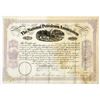 Image 1 : National Petroleum Association, 1866 Stock Certificate.