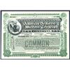 Image 1 : American DeForest Wireless Telegraph Co., 1904 Issued Stock