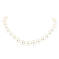 14KT White Gold 11.0mm-15.0mm South Sea Cultured Pearl Necklace