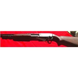Remington 141 Game Master 35