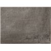 Image 2 : Ramon Santiago, Tree, Pencil Drawing Drawing