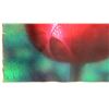 Image 2 : Hilo Chen, Tulip, Watercolor Painting