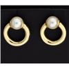 Image 1 : Pearl Circle Earrings