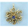 Image 1 : Antique Sapphire Pin/Pendant combination