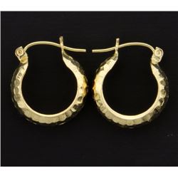 Small Hoop Earrings