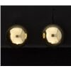 Image 1 : 14K Stud Earrings