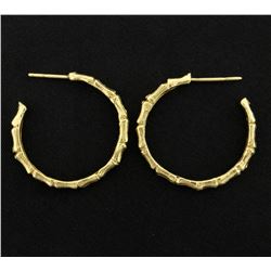 Hoop Earrings