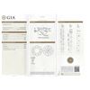 Image 5 : GIA Cert 3.03 ctw VVS-1 Diamond Solitaire Ring - Platinum