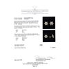Image 3 : 2.36 ctw Diamond Earrings - 14KT Yellow Gold