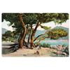 Image 1 : French Seaside  Early 1900's