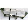 Image 1 : BEAR COMPOUND BOW