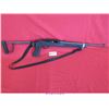 Image 1 : RUGER 10-22