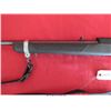 Image 8 : RUGER 10-22